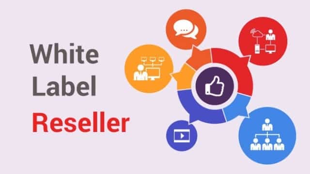white label seo reseller