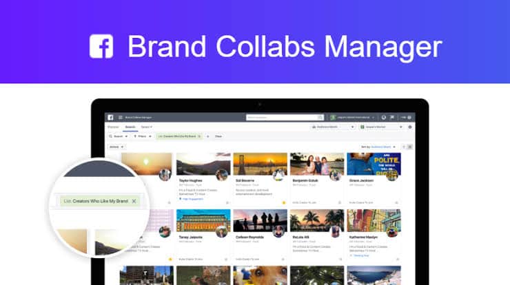 Brands Collabs Manager