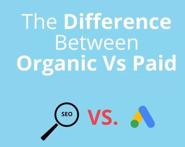 Organic vs Paid Search Statistics 4